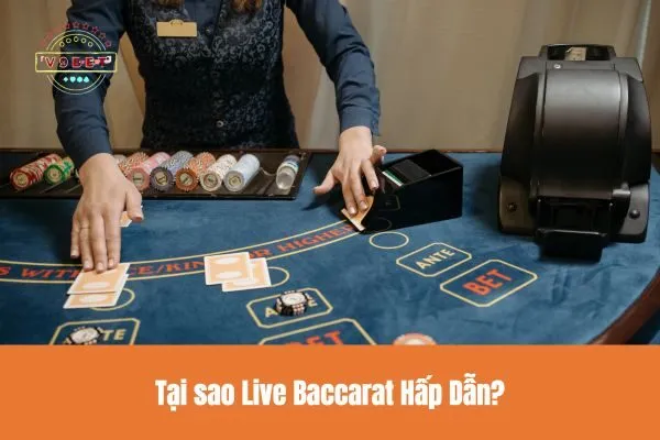 Tại sao Live Baccarat Hấp Dẫn?