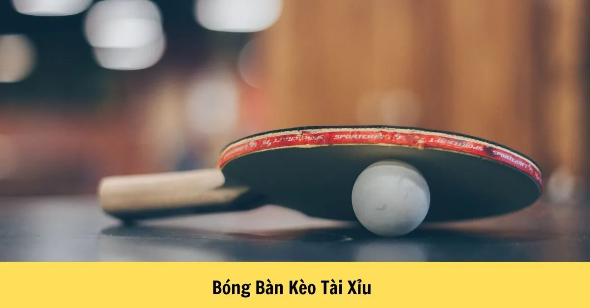 Bóng Bàn Kèo Tài Xỉu