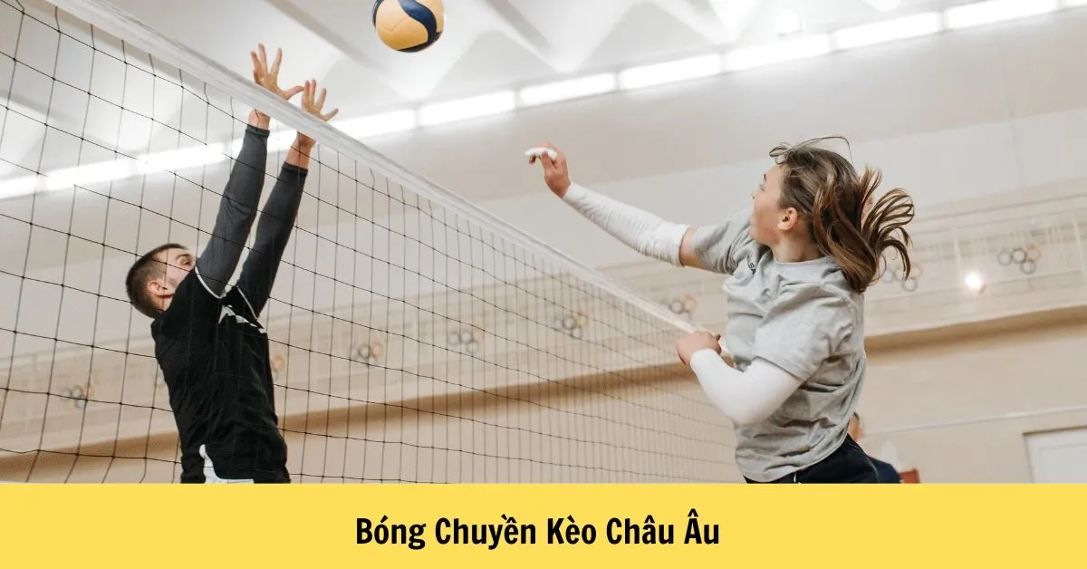 Bóng Chuyền Kèo Châu Âu