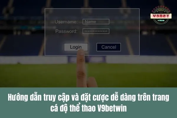 web cá độ bóng đá